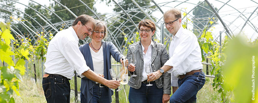 Weingut BÄHR Pfalztraube • Wein kaufen